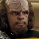 Michael Dorn as Worf.
